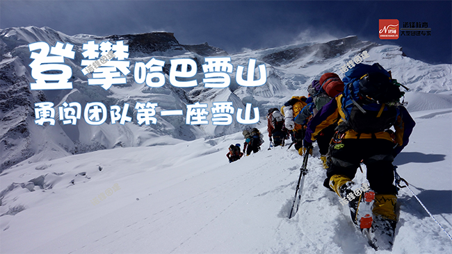 亲子露营