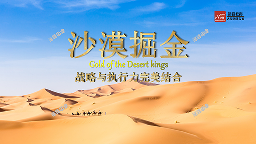 亲子露营